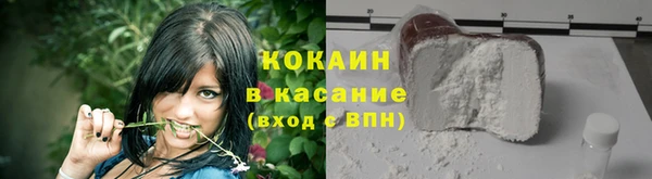 крисы Покачи