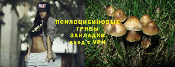 прущие крисы Балабаново