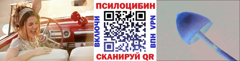 где купить наркотик  Нижние Серги  Псилоцибиновые грибы мицелий 